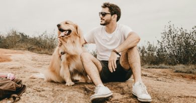 Cachorro e homem